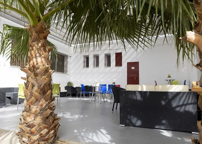 Albergue: Albergue Inturjoven Jerez De La Frontera